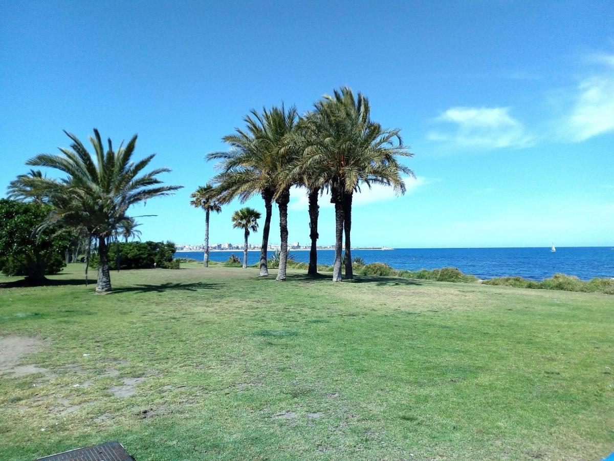 Casa Roberto Bonito Daire Torrevieja Dış mekan fotoğraf